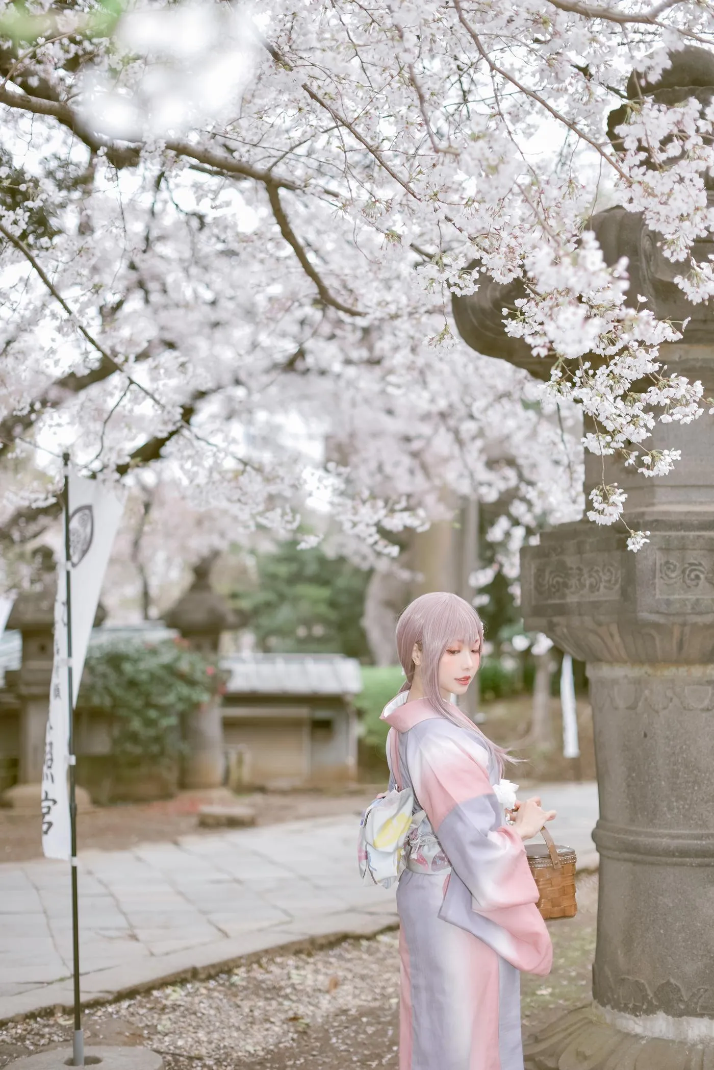 ElyEE子 – NO.105 Sakura [64P]插图8